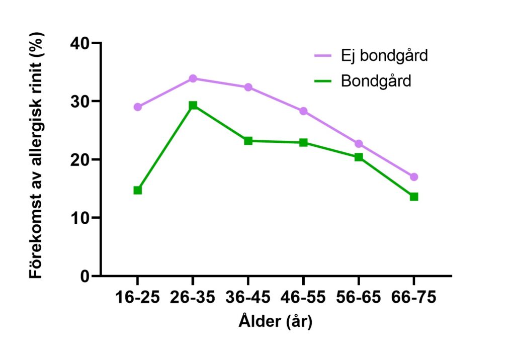 Graf som visar förekomst av allergisk rinit baserat på ålder och uppväxt på bondgård
