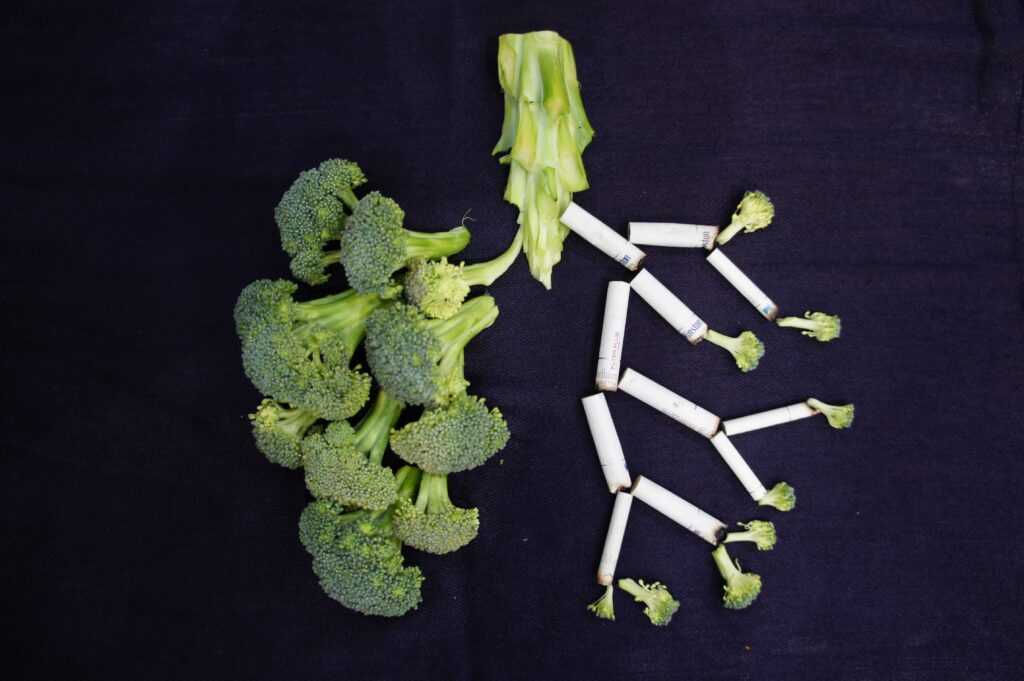 Broccoli och cigarettfimpar avbildande två lungor, symboliserande röknings skadliga verkan